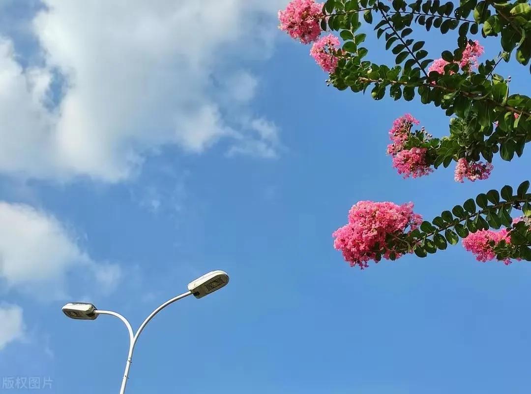 生命只是一段梦中的旅途，我们在从出生到死亡的途中积累着苦难与幸福。

世界上有太