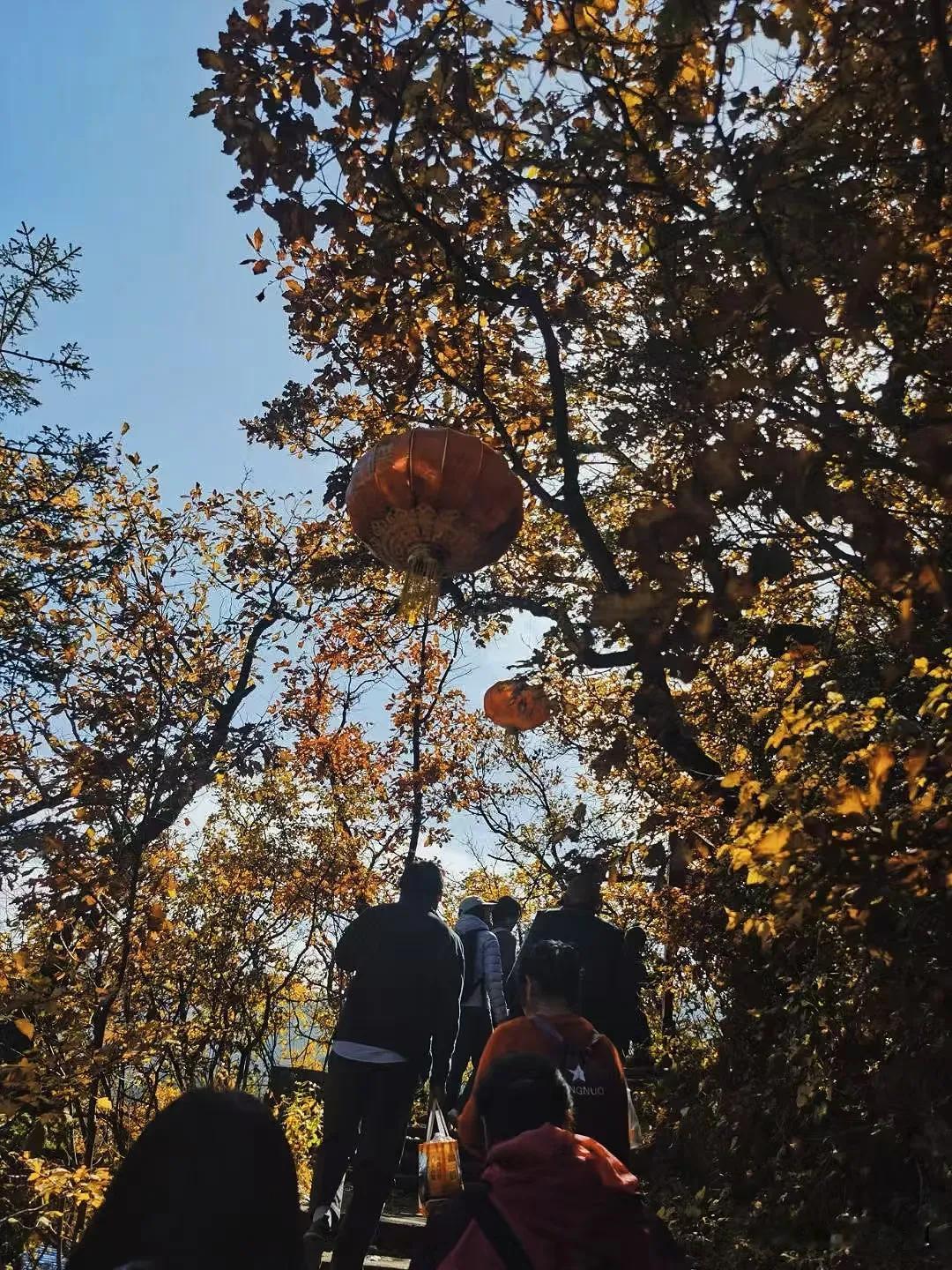 兴隆山。
很多时候喜欢徒步，
现在也是，
开车到山下，
带着孩子爬山，
在每个高