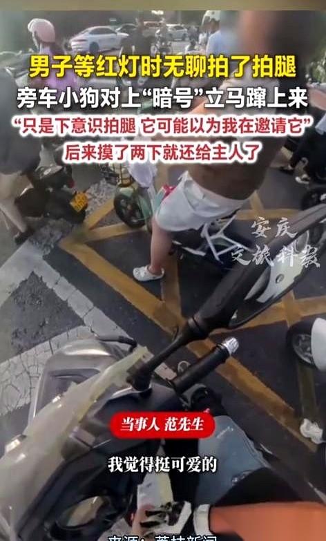 真绝了，你敢信？
大马路十字路口等红灯，你随手拍了一下自己的大腿。
“嗖”的一声