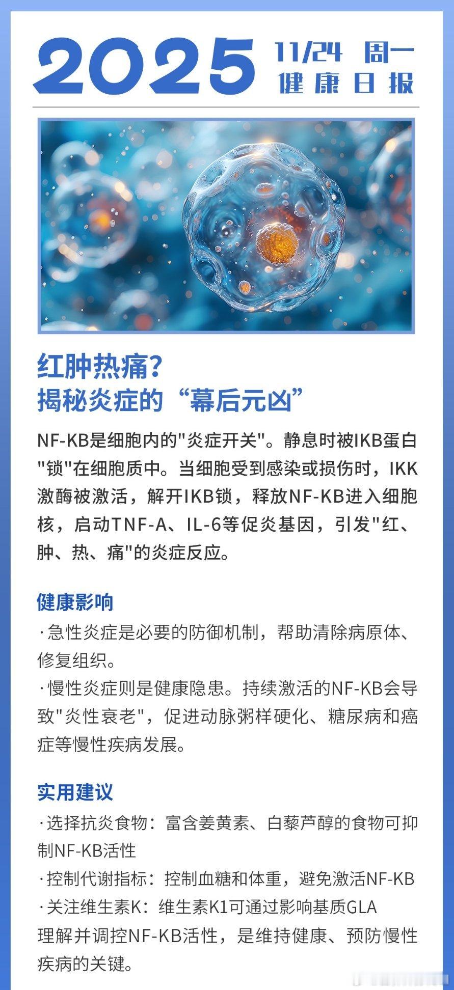 红肿热痛？NF - KB 是炎症幕后元凶！慢性炎症易引发慢病，可通过抗炎饮食、控
