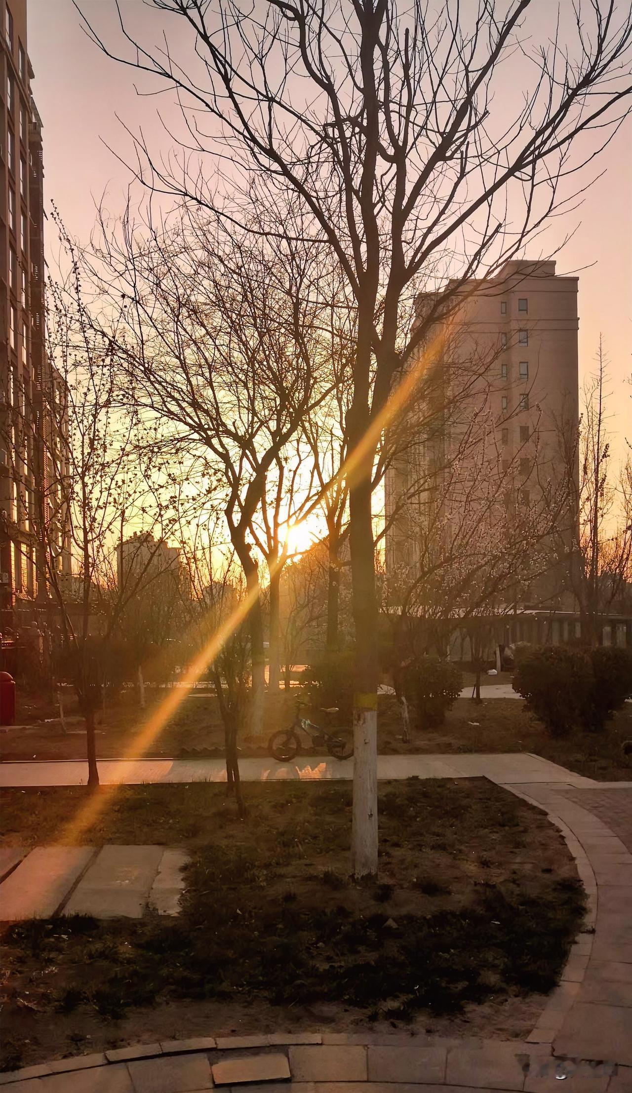 昨天晚上从10点半到凌晨1点，在这短短两个半小时里，老公被出了8种意外：

第一