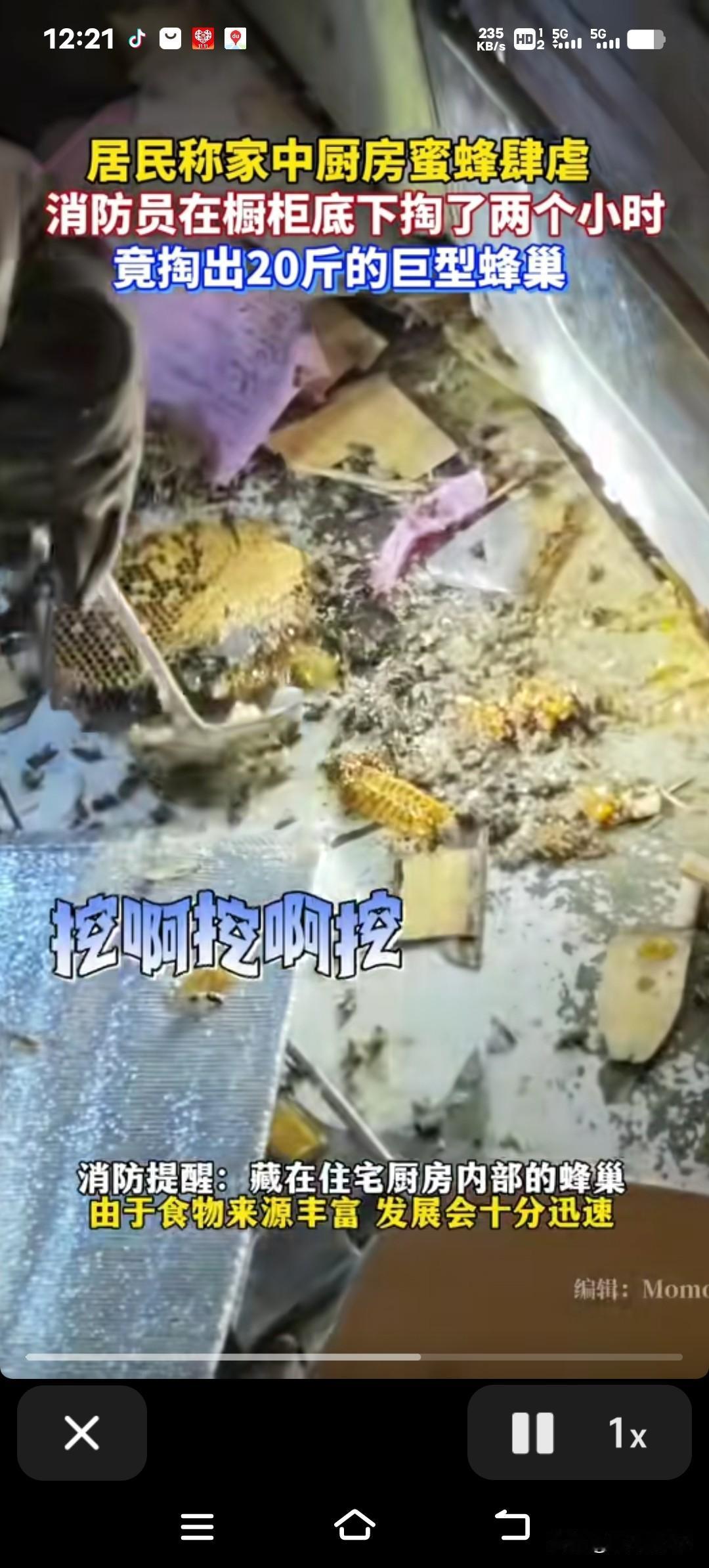 厨房突然出现20斤大蜂巢！消防员跪在油腻灶台前掏了两小时才清理干净，住户现在终于