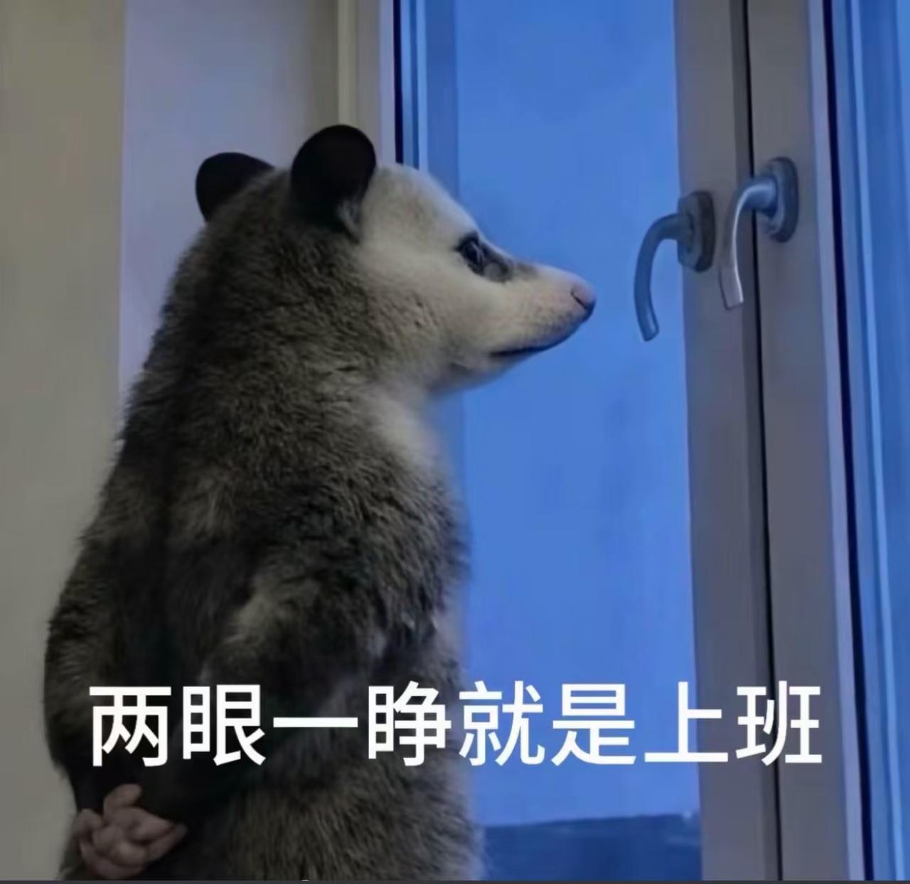 我们都是挣点小钱的普通人 所以很多事不用放在心上 做好当下的事就好 该努力时好好