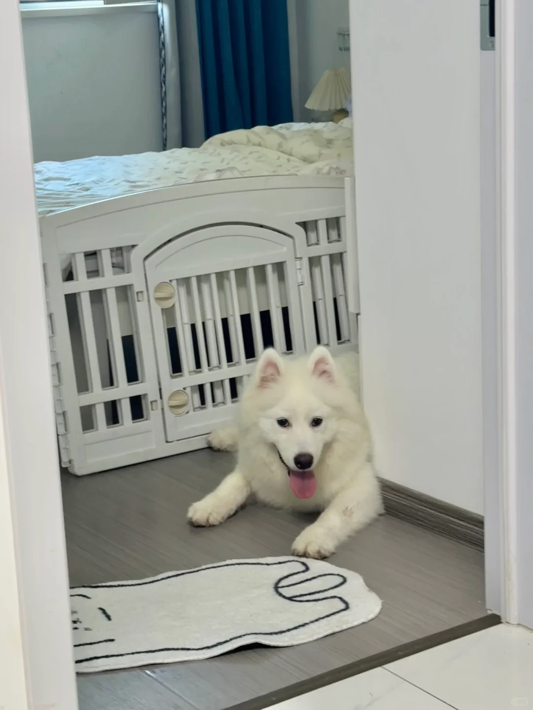求助！我的室友老霸占我的房间怎么办？