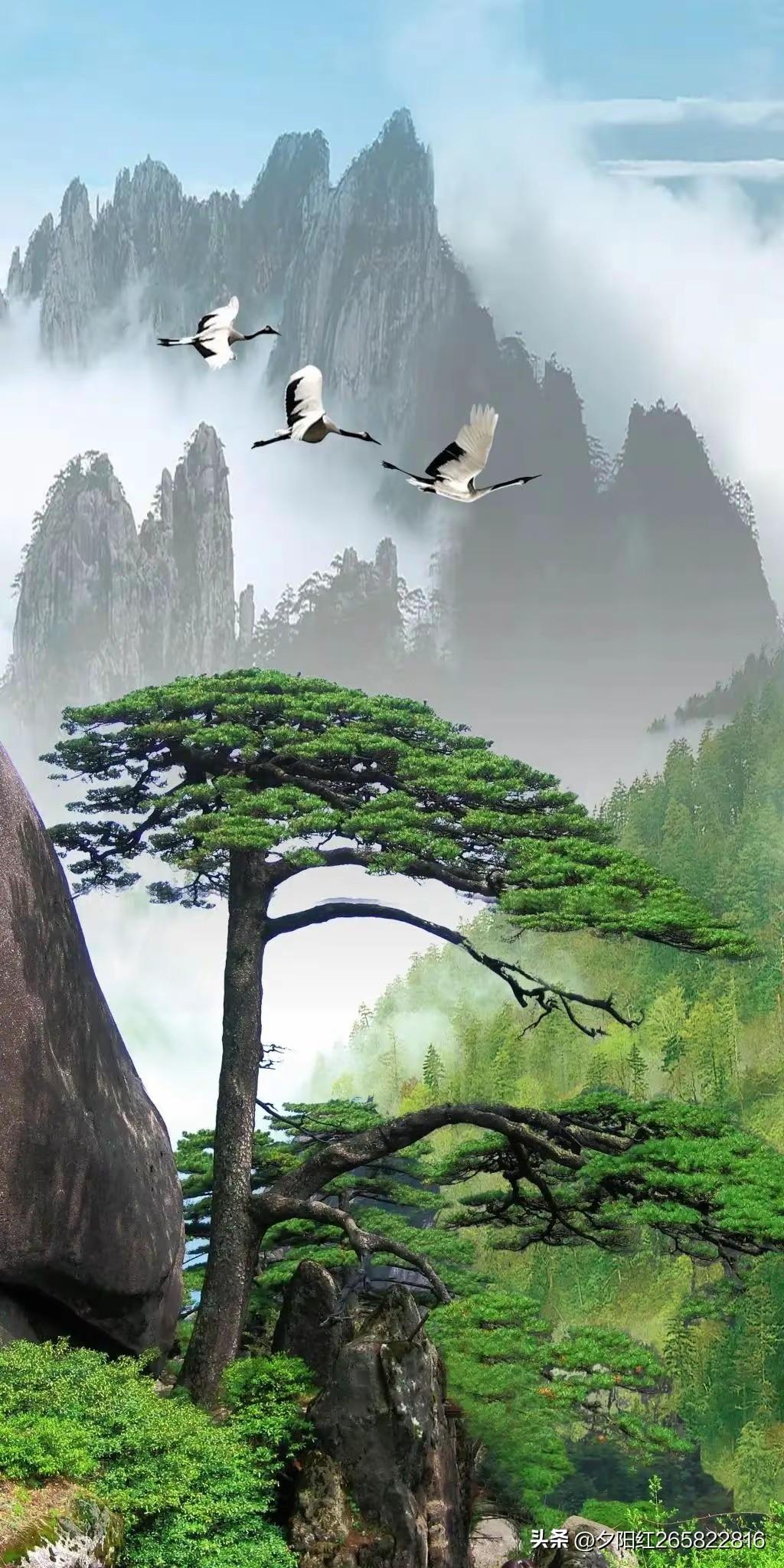 (暮年续)七律，《晚岁安闲》
一世奔波鬓染霜，
回哞往事感茫茫。
少年壮志随云远