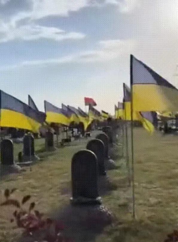 红军城战场上外籍阵亡者的高比例，深刻揭示了乌克兰在长期消耗战下面临的严峻兵源危机