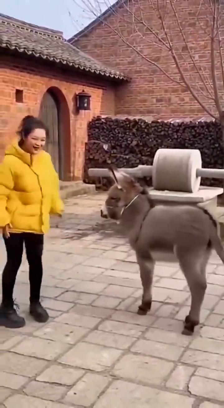 哈哈。