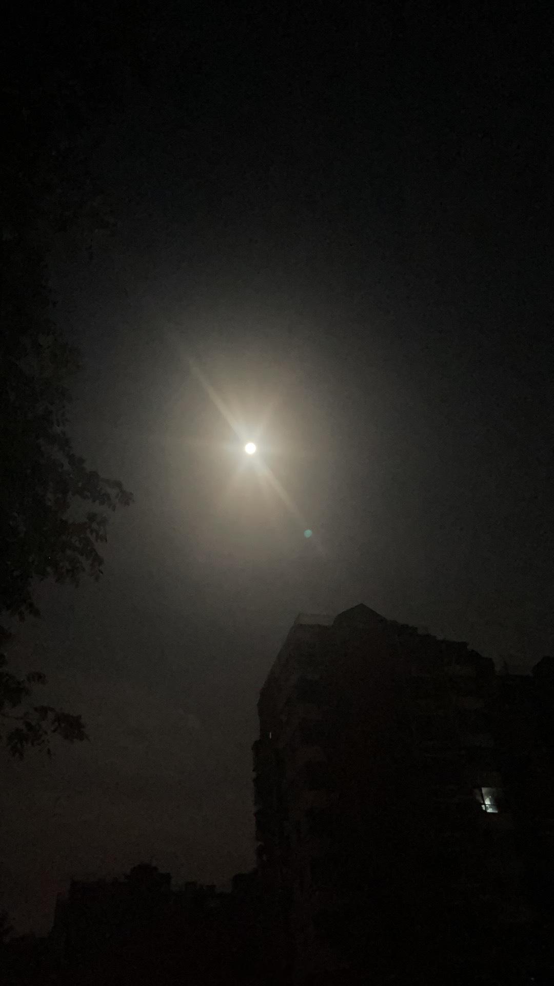 不知道什么时候开始，不爱分享，不爱说自己的心事了。一个人静静地呆着，一个人数着时