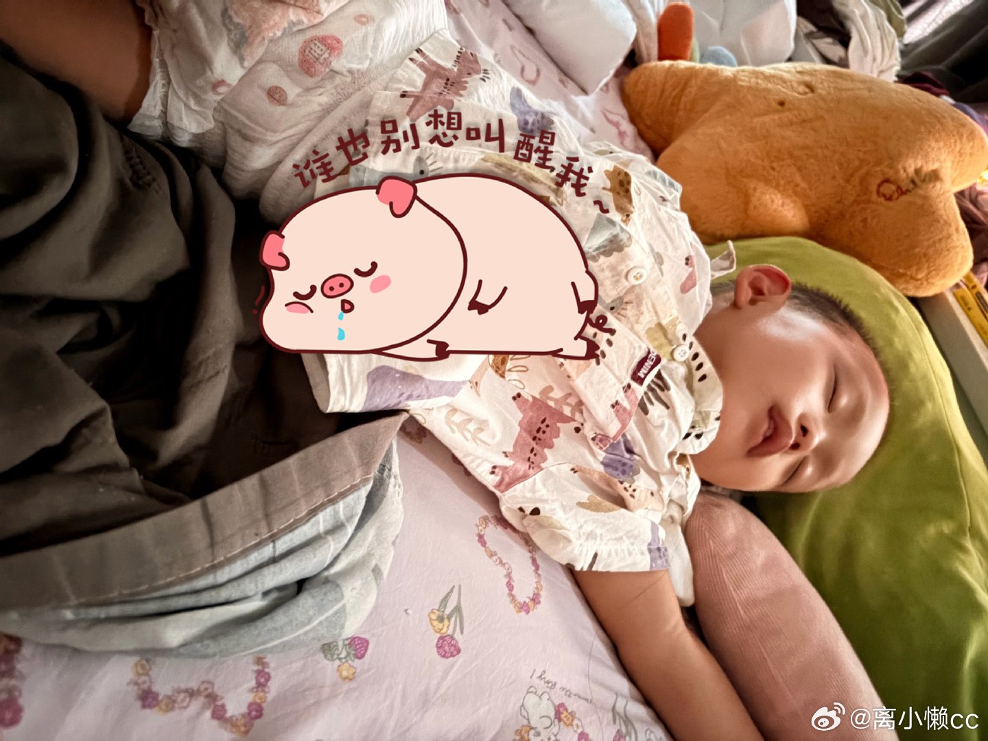 睡着的小猪🐷 ​​​