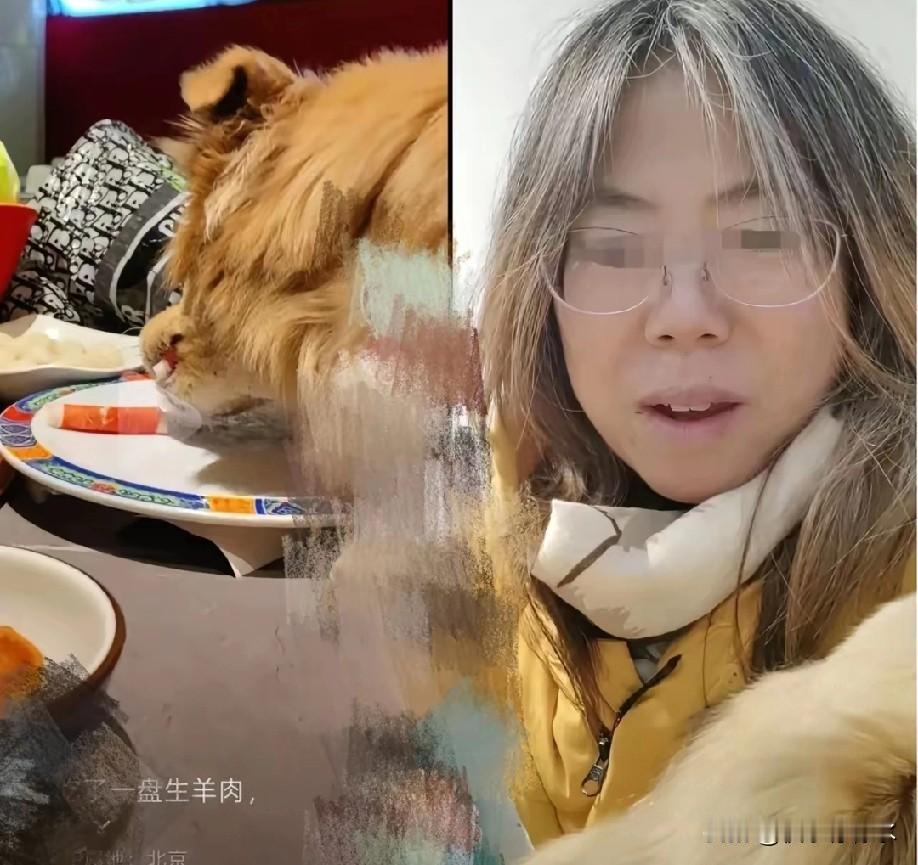 真是活久见！

吃个铜锅涮肉还能碰上这么炸裂的事儿。

那女的直接把狗抱上桌，肉