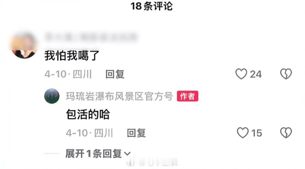 荡秋千游客坠亡景区，曾经和网友互动回复“包活的”现在关闭评论区了 