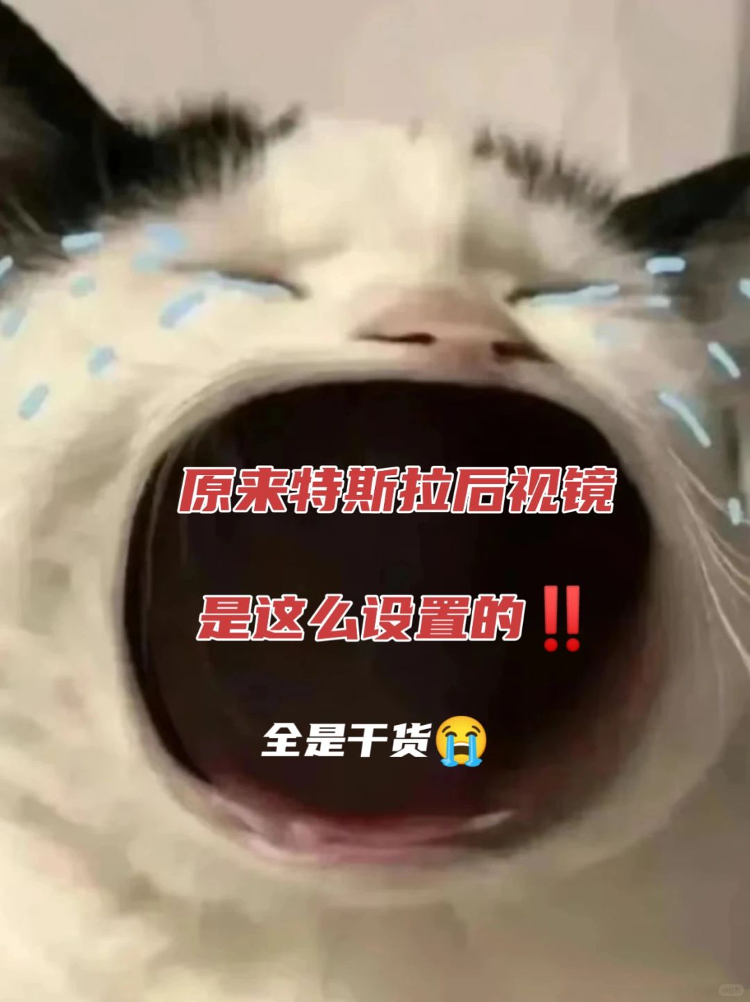 终于有人把特斯拉后视镜设置，说明白了✅