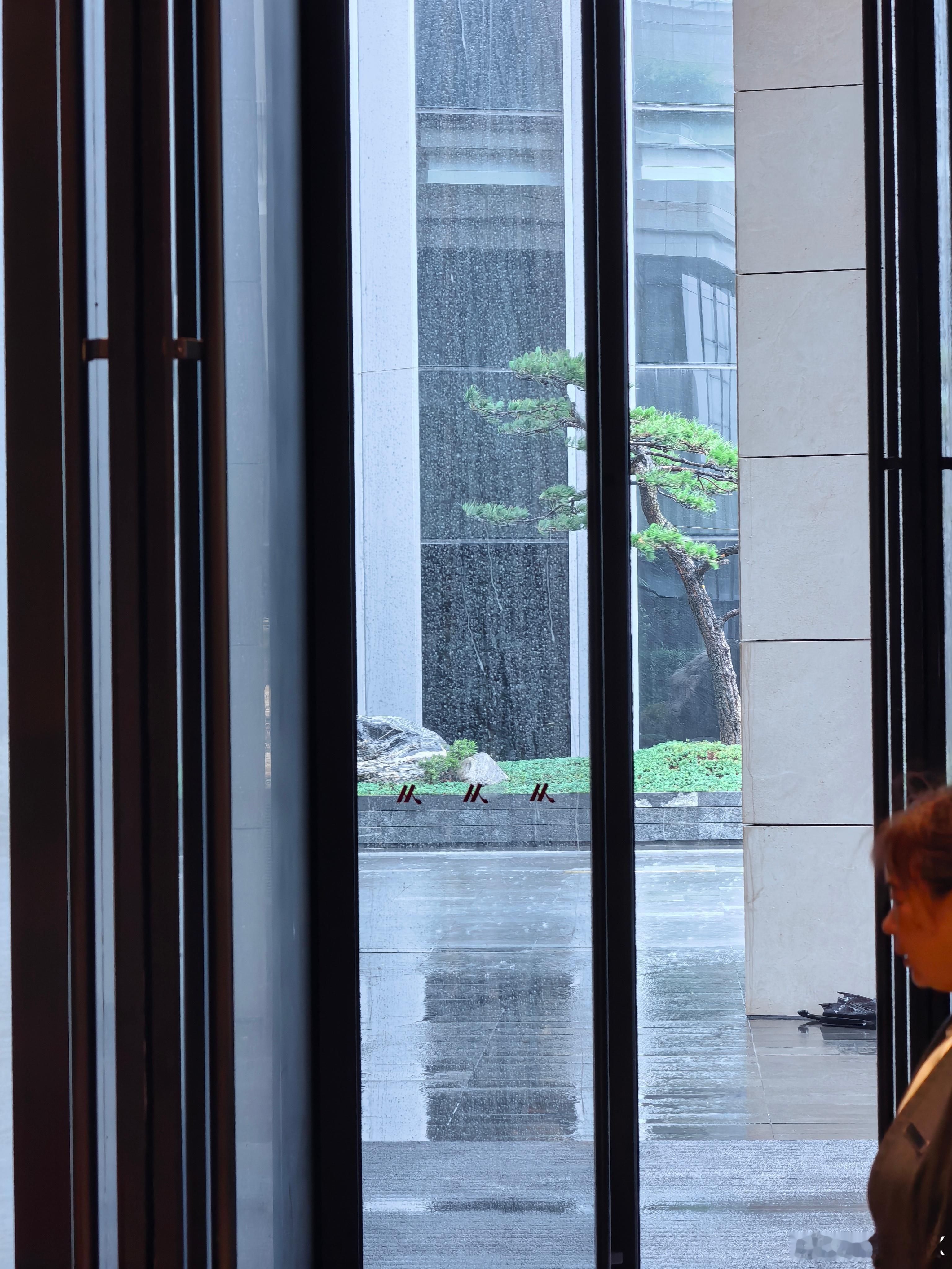 早大家上海真是在狂风暴雨