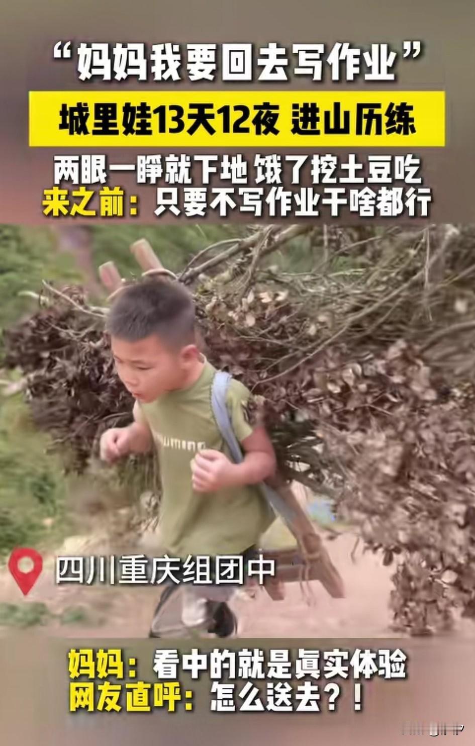城里娃不愿意写作业，
妈妈就将他带进山里，
呆了13天12夜，
还有很多像他一样