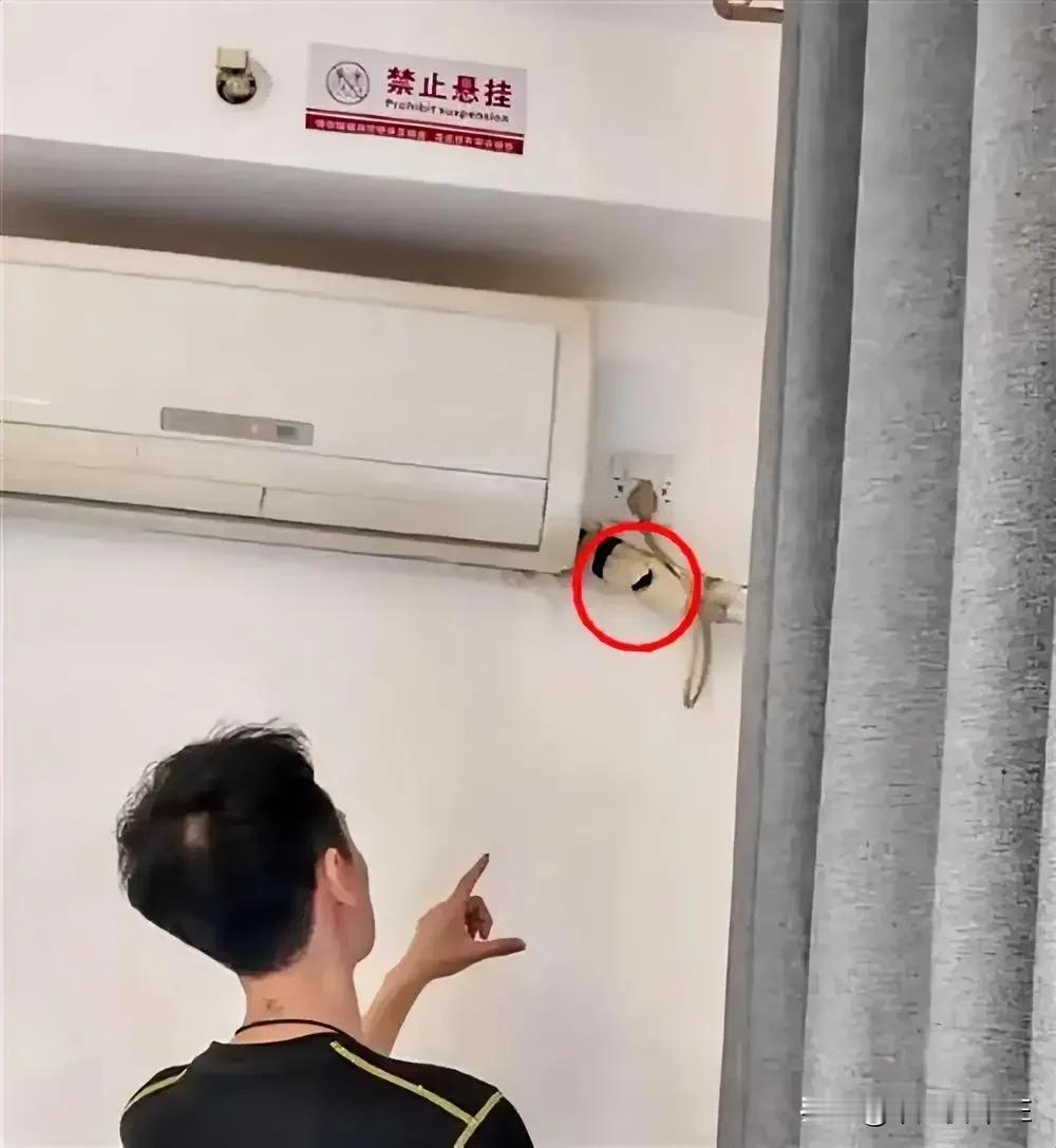 近期，石家庄地区发生了一起民宿事件，引起了广泛关注。在事件升级后，涉事博主昨日发