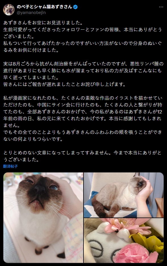 暹罗猫小豆泥画师在确认原型猫小豆泥因恶性淋巴瘤去世[泪]暹罗猫小豆泥去世 ​​​
