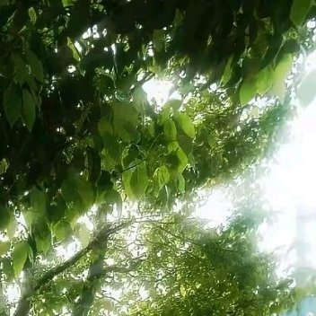 一切都是为了阳光信用 毕竟好久都没怎么涨了 一起保护大自然 与社会携手做公益 关