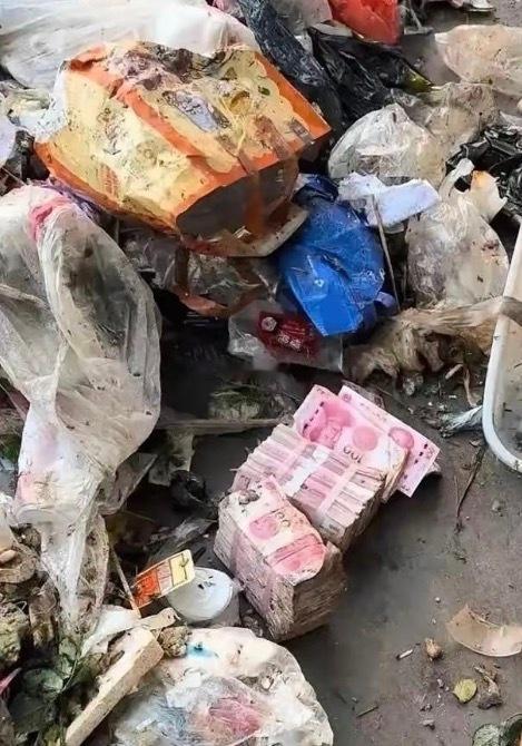 怎么办该不该捡回家？ 