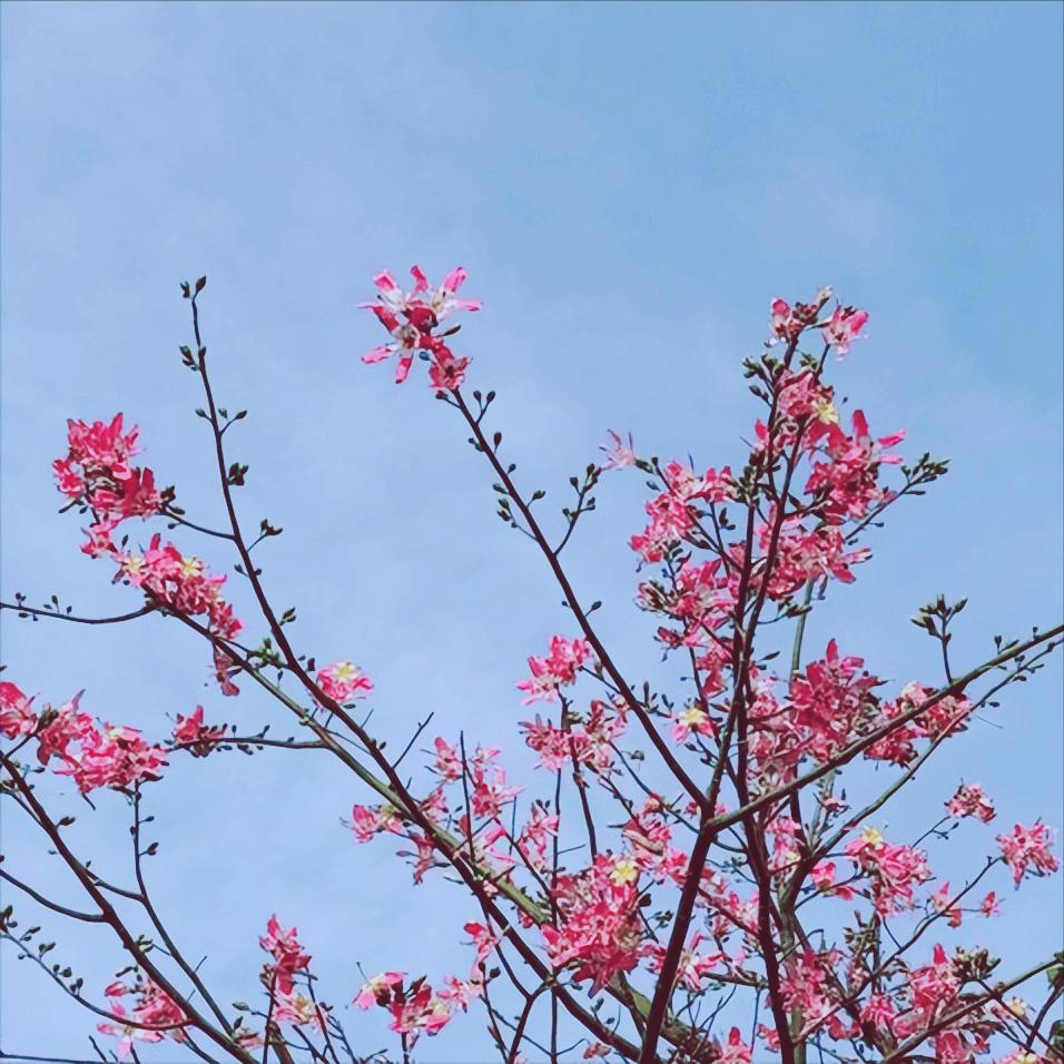 11月28日   中央政治局第二十三次集体学习传递出4个重要信号
 
一是要持续