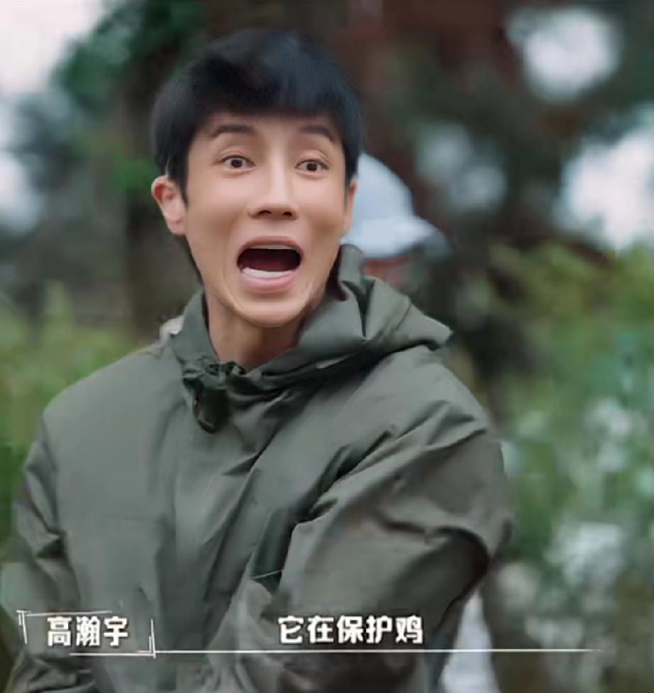 郑恺在【嗨放派】领养的狗狗长大了

那只会保护小伙伴，不让他们杀鸡的小白狗，长大