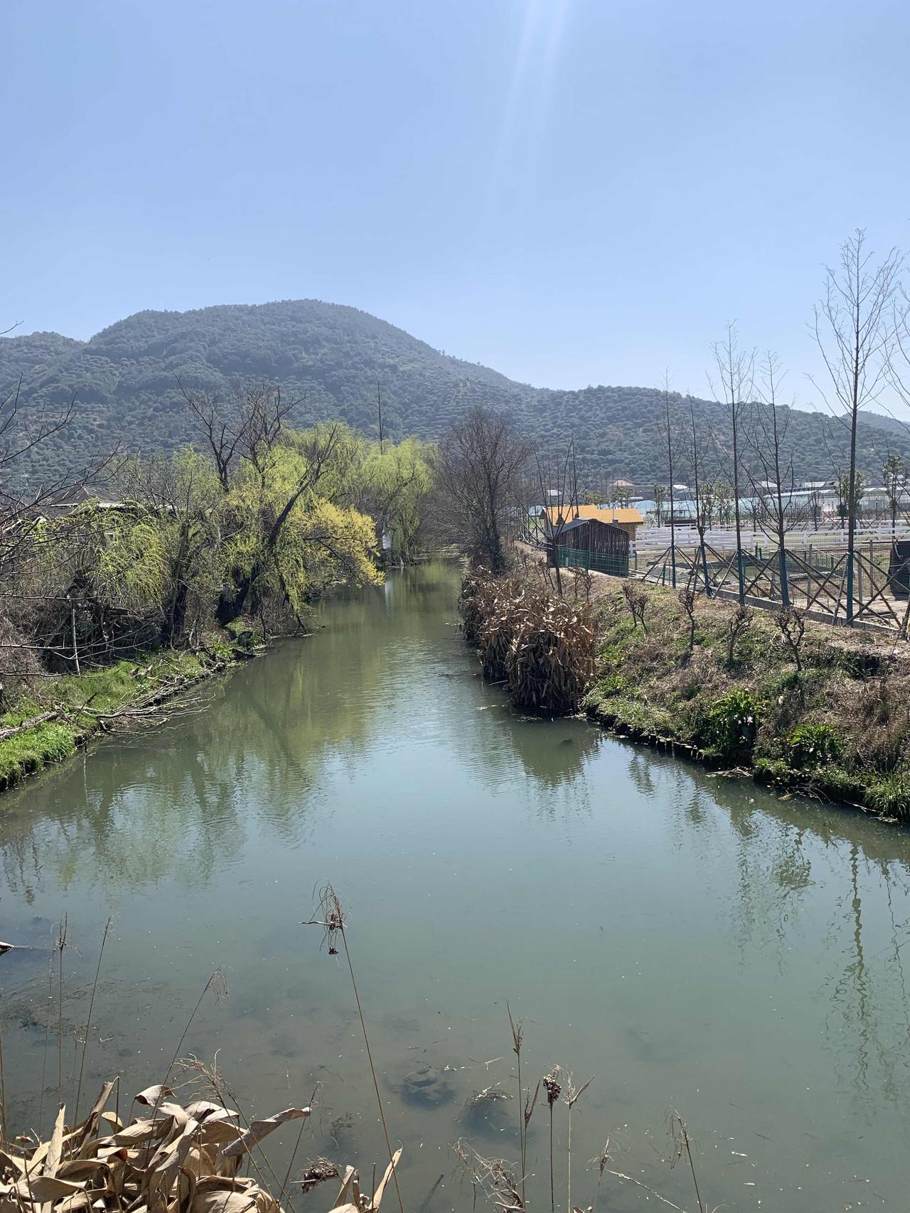 自己的苦真没必要和别人说。莫言说得很扎心，八成人对别人的苦难无动于衷，近两成人会