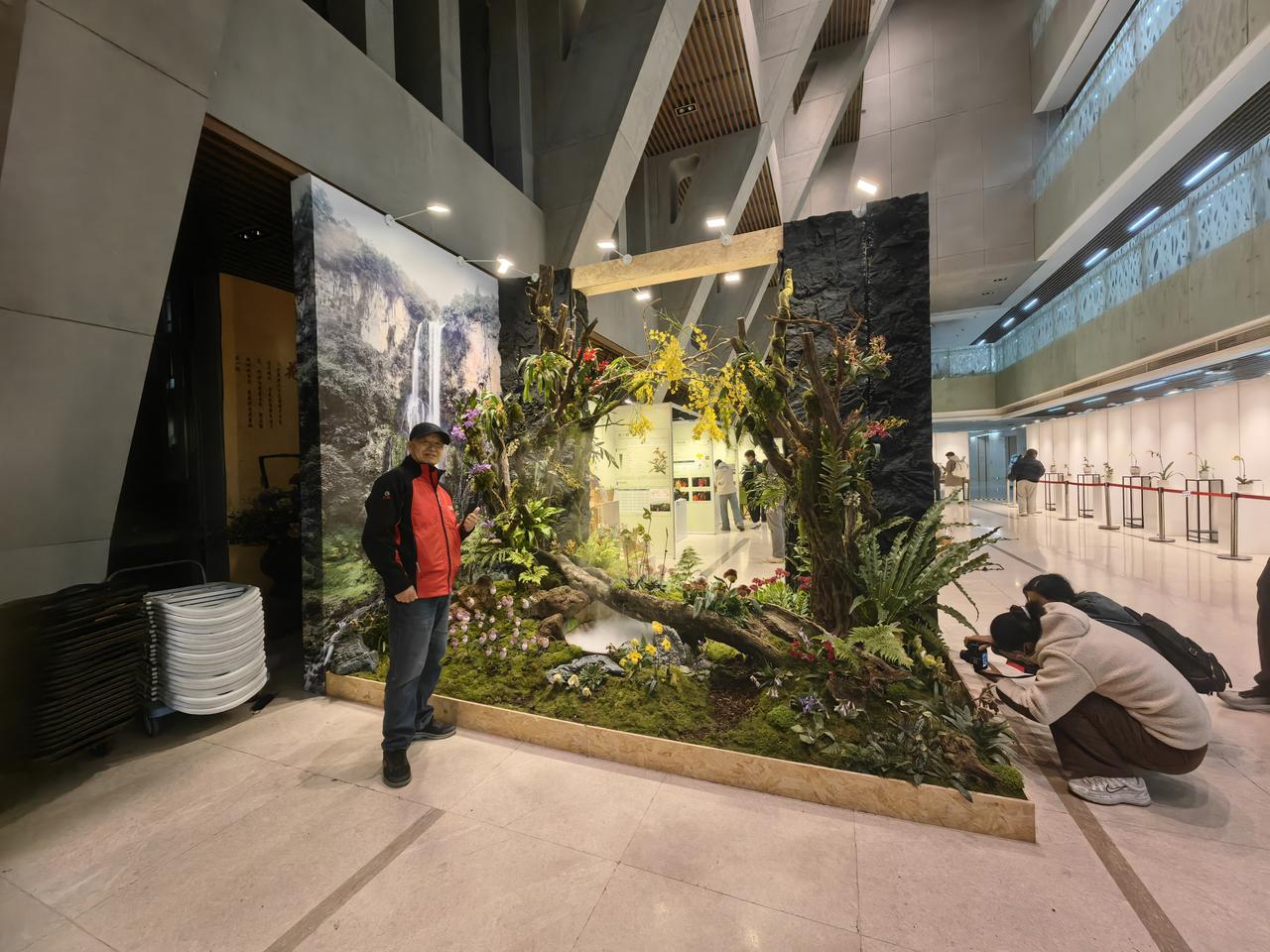 【美到窒息】看到小区隔壁北京林业大学学研楼有兜兰属植物展，好奇一观，美到窒息！太