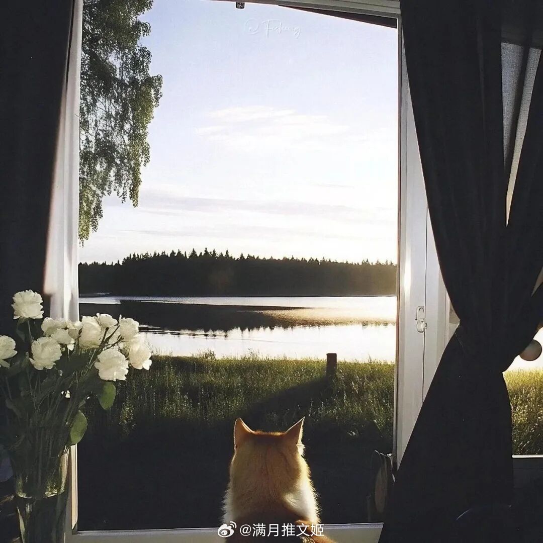 于是他走了。他没有吻她，也没有再看她一眼。他走出房门，走进雨中。——毛姆《面纱》
