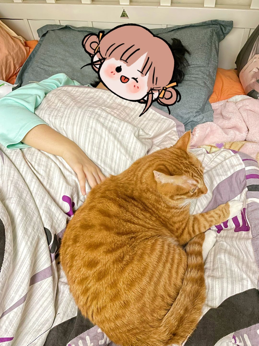 女儿生病了，猫咪轮流做陪护