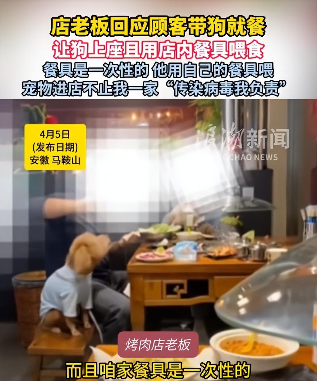 拎不清！安徽马鞍山，一顾客去饭店吃饭时，突然发现有其他顾客带着宠物狗上桌就餐，随