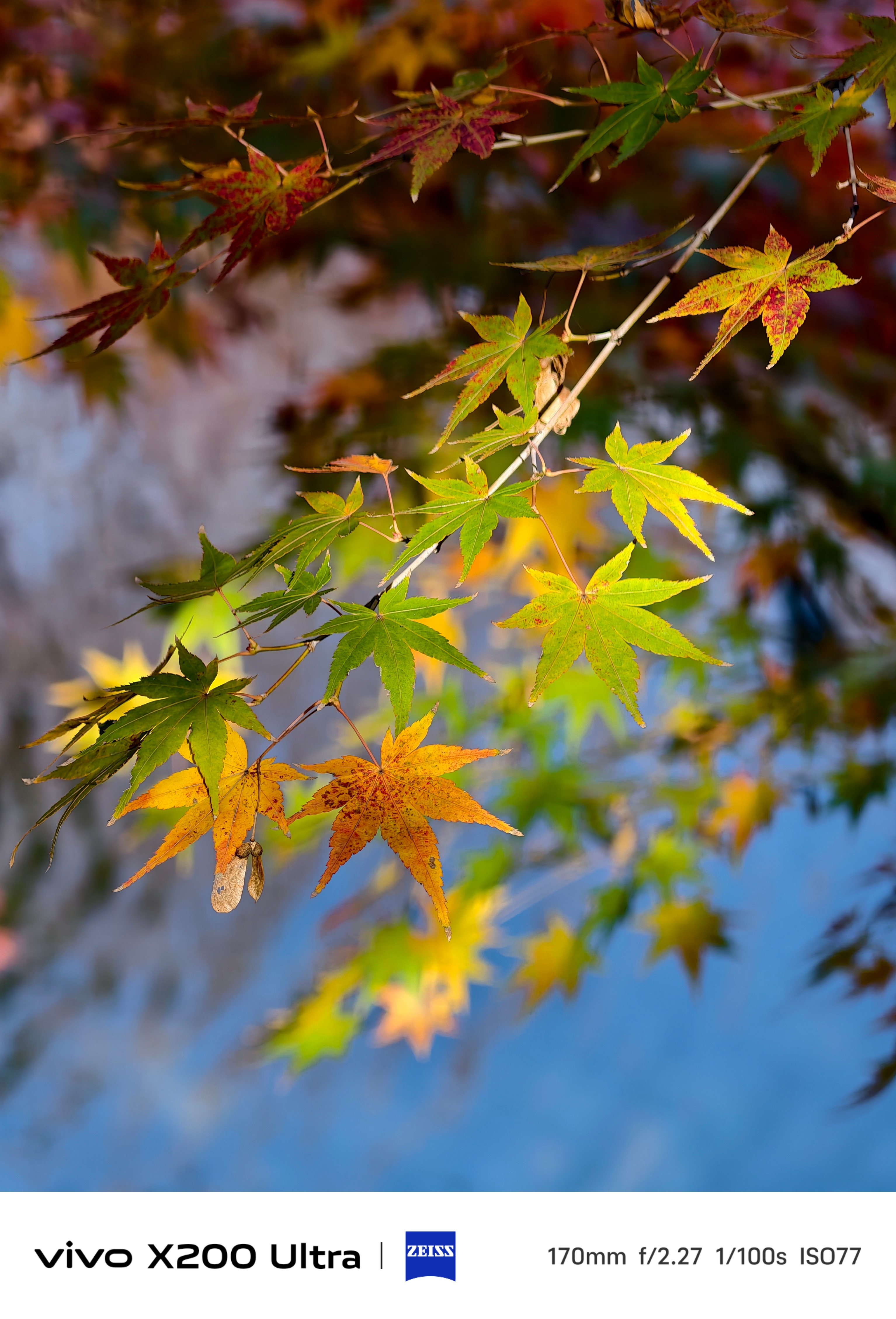 大家最喜欢哪个季节
