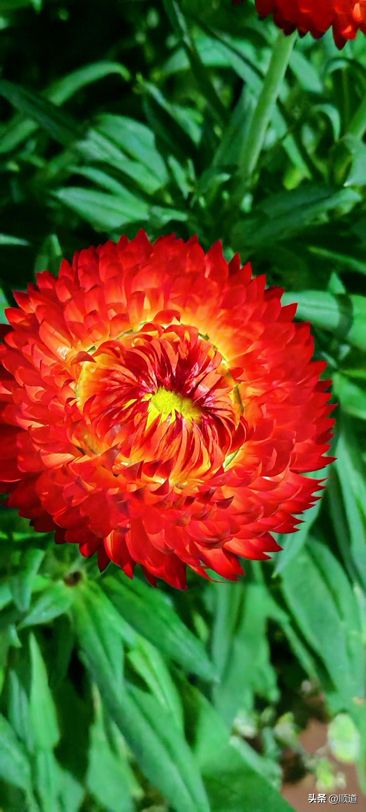 如果你和老公在一起生活，觉得他不重视你，对你不好，让你受尽委屈。
别急，你就熬着