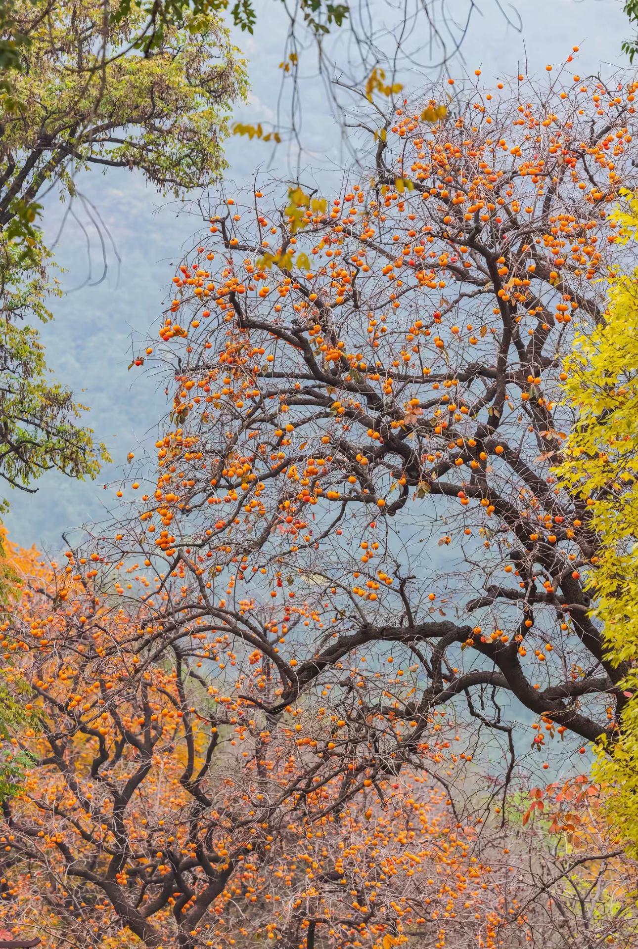 后来你会发现，人和人真的不一样，有人坦诚相待，有人表里不一，有人换位思...