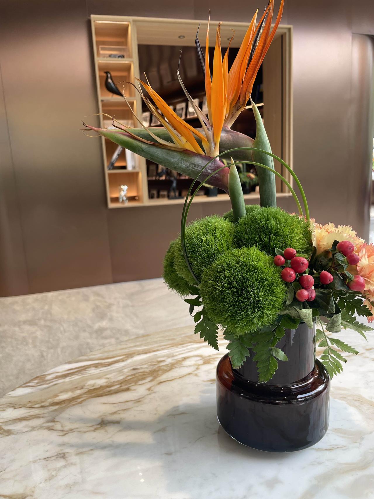 这是真的绿色植物吗？