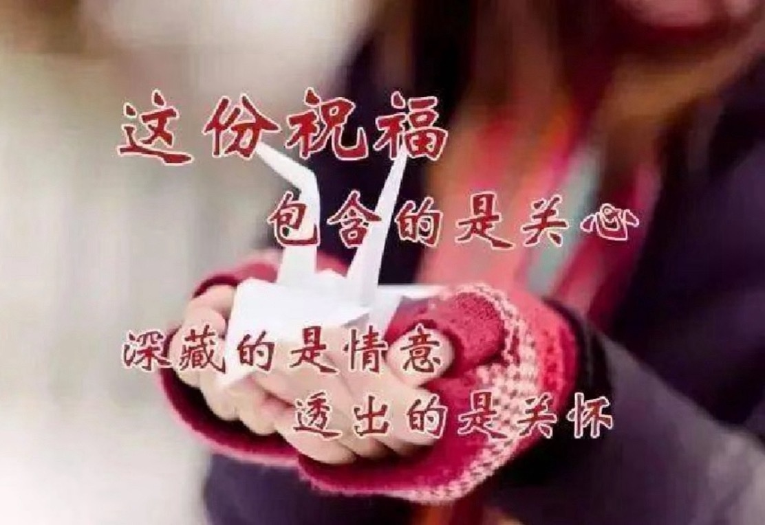 中午时分，愿你在忙碌中保持宁静，一切都会变得更好。 