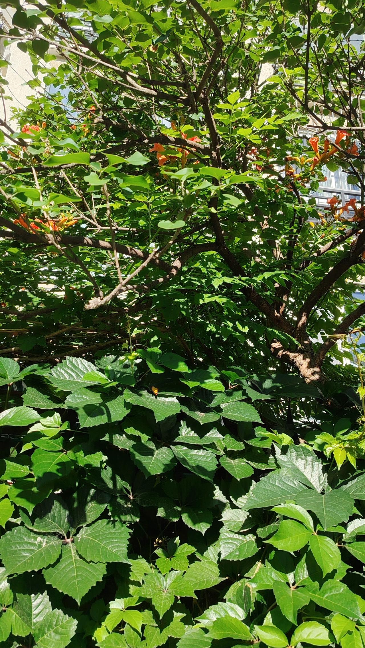 农夫因怕天旱不种麦，怕虫咬不种棉，最终什么也没种。顾虑太多，只会束手束脚、一事无