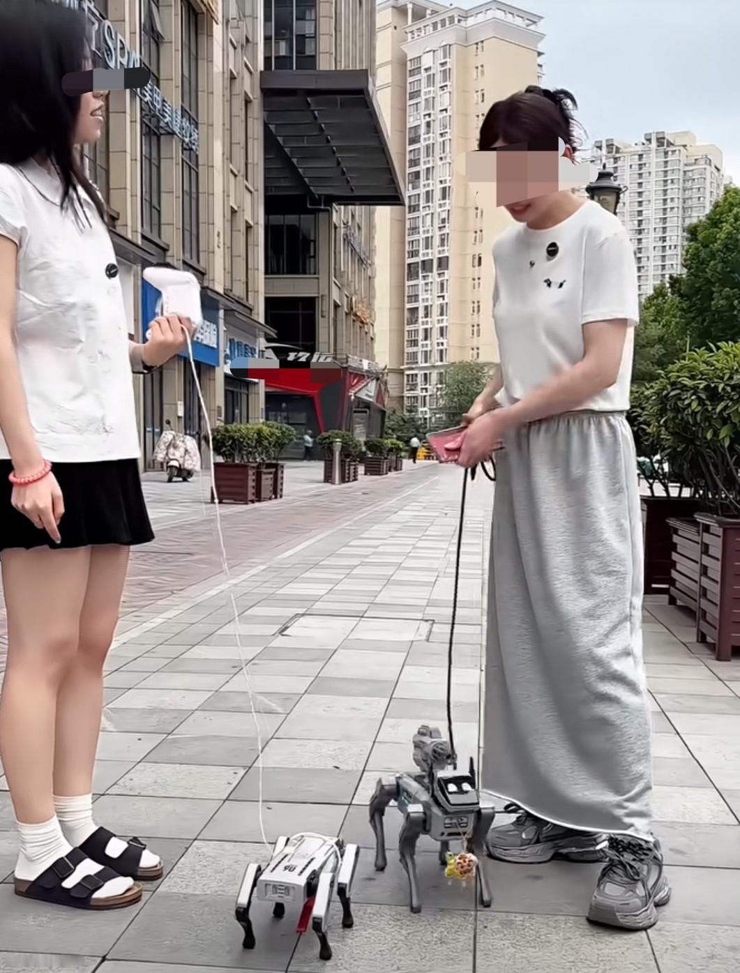 如果将来很多人这样遛狗，我举双手赞成。

机器狗，终究也将是狗，可能在情感交流上