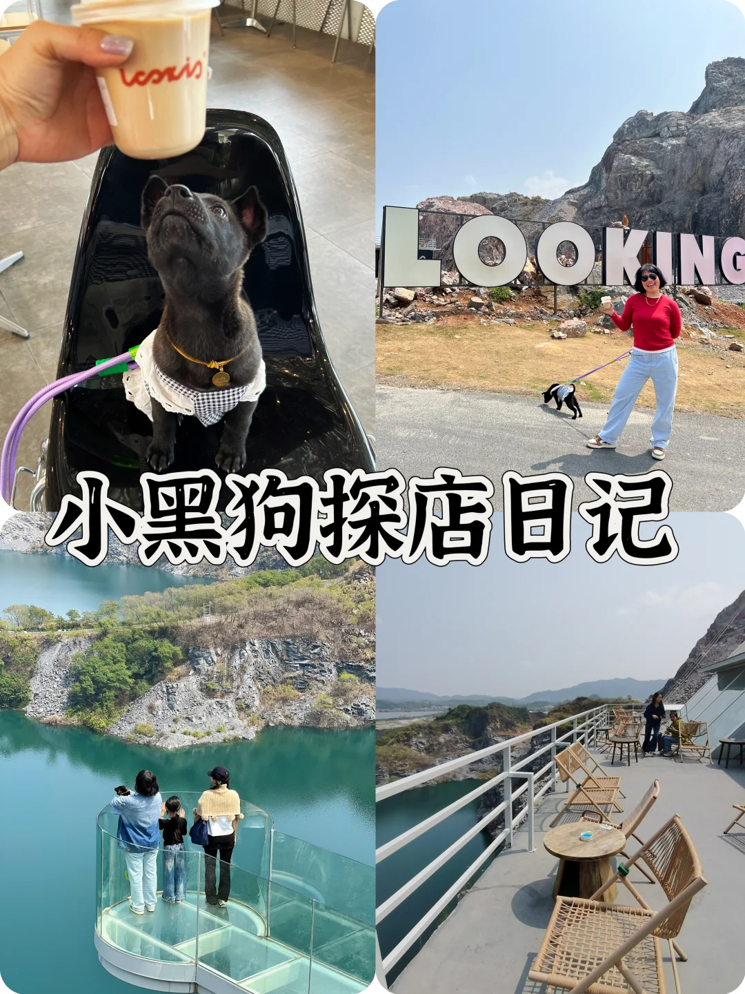土豪包下一座山，就为了让我喝咖啡？！