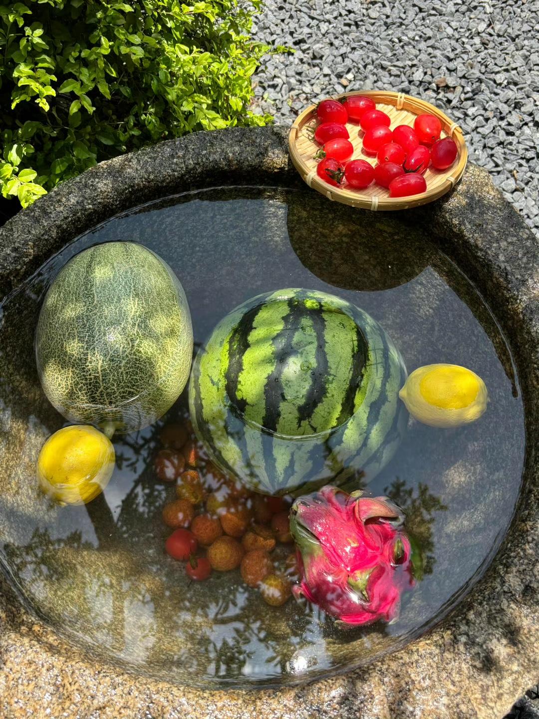 盛夏的果实