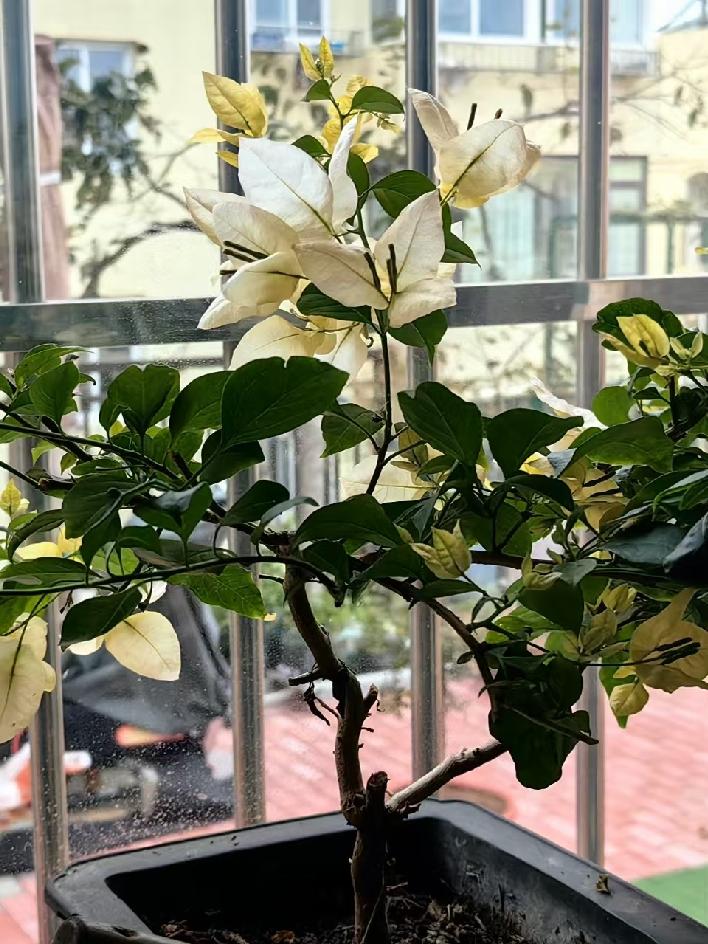 花钱请人打扫卫生，值不值就要看你的具体情况了。
如果年纪大了，干活吃力了，找人打