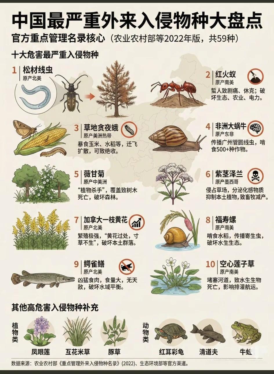 十大入侵物种的危害，你知道多少？[发怒]
  其中，松材线虫的长远危害最巨：自1