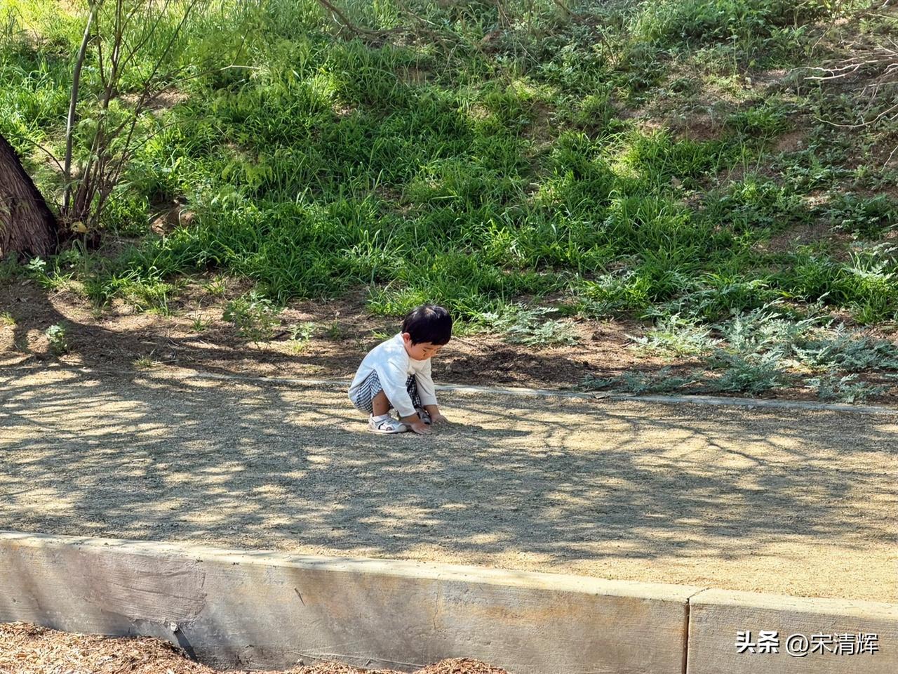 （1579）：妹妹一遇到沙土就走不动了，一玩儿就是一两个小时，跟大哥宋昊然小时候