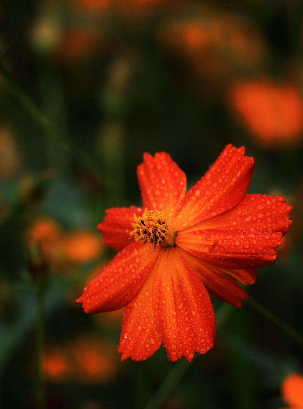 你有没有发现，自己已经很久没人请吃饭了？即使主动请别人，结果也常常被冷落。电话几