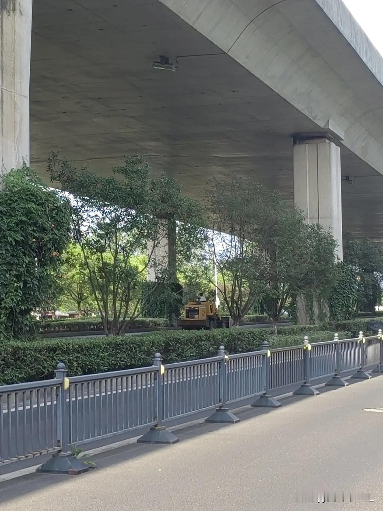 今天下午去河东厂区签单子，没有赶上班车，我就走回来，走到高架桥底下，看到一辆黄色