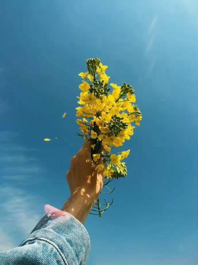 早成者未必有成，晚达者未必不达。不可以年少而自恃，不可以年老而自弃。—— 冯梦龙