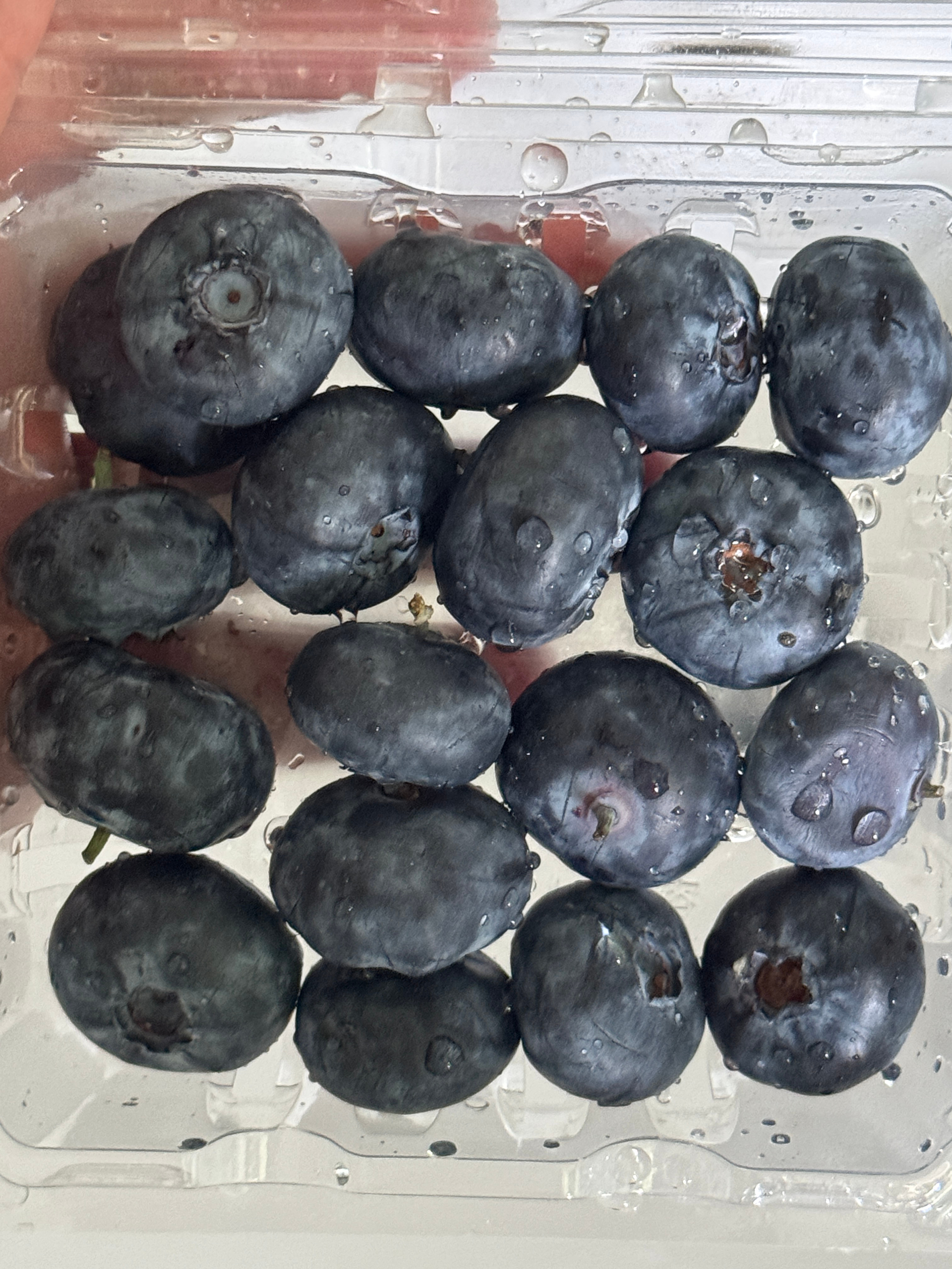 在街边买了两盒24+的大蓝莓🫐，表面看着没什么问题，结果吃的时候发现一半都是坏