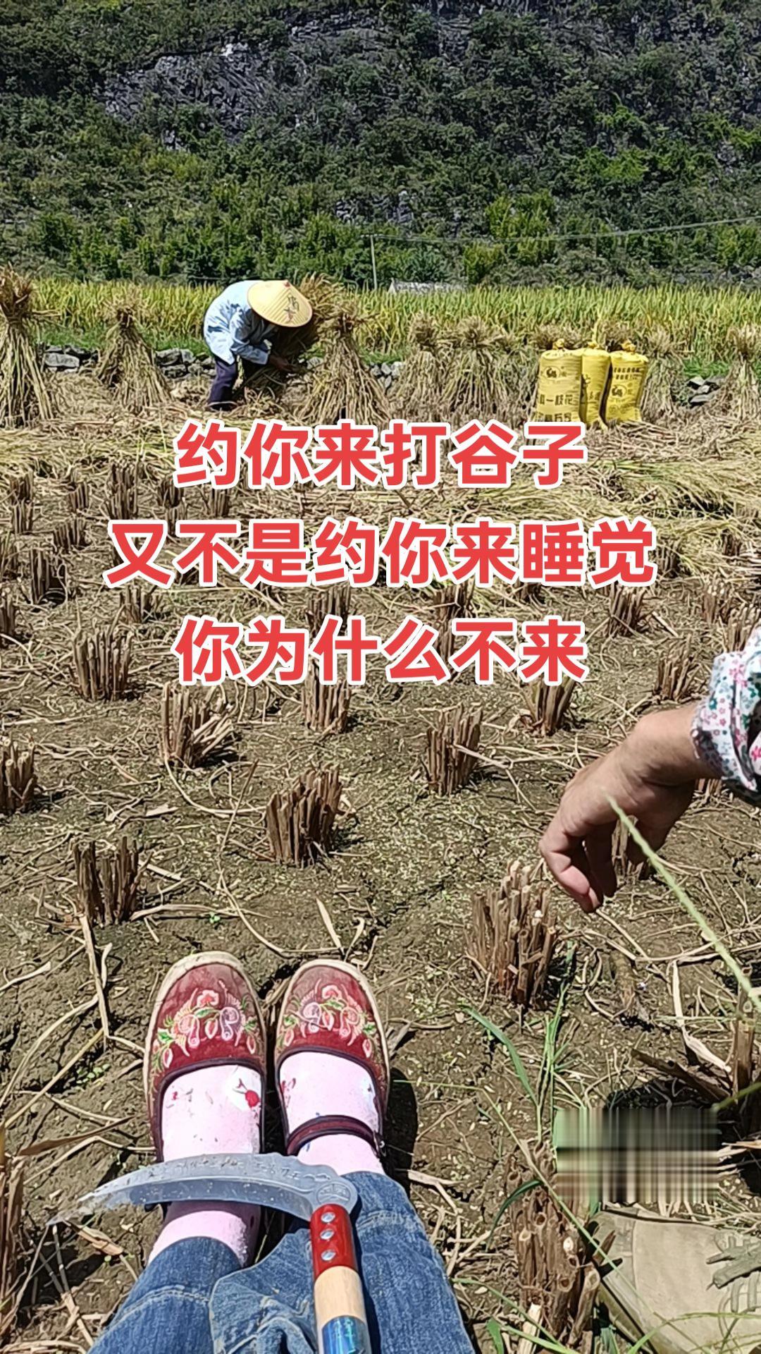 又不是约你来睡觉，你为什么不来
