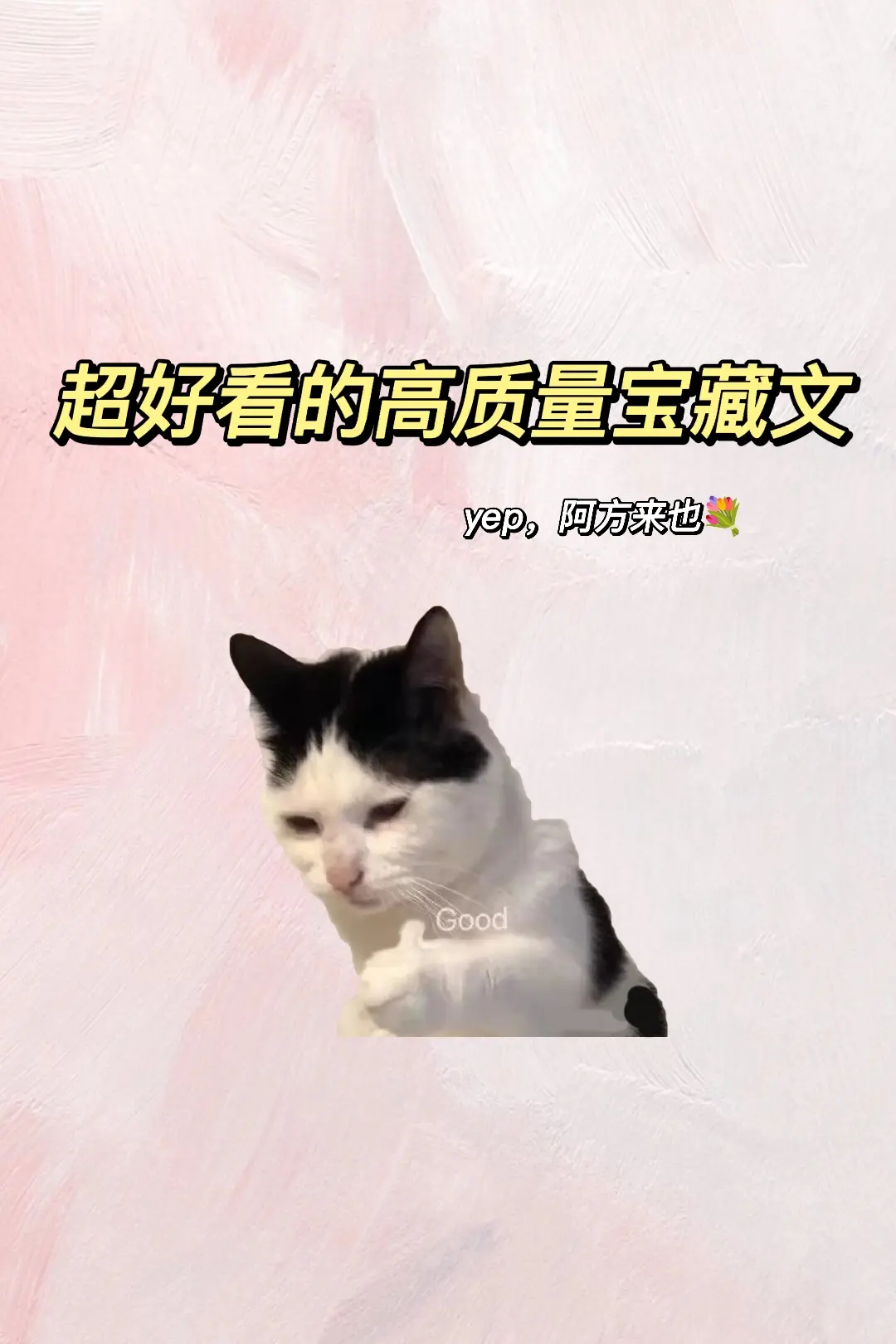 宝藏文~阿方来咯！耶！