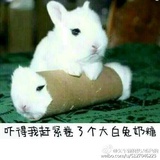 暖暖爱品情感