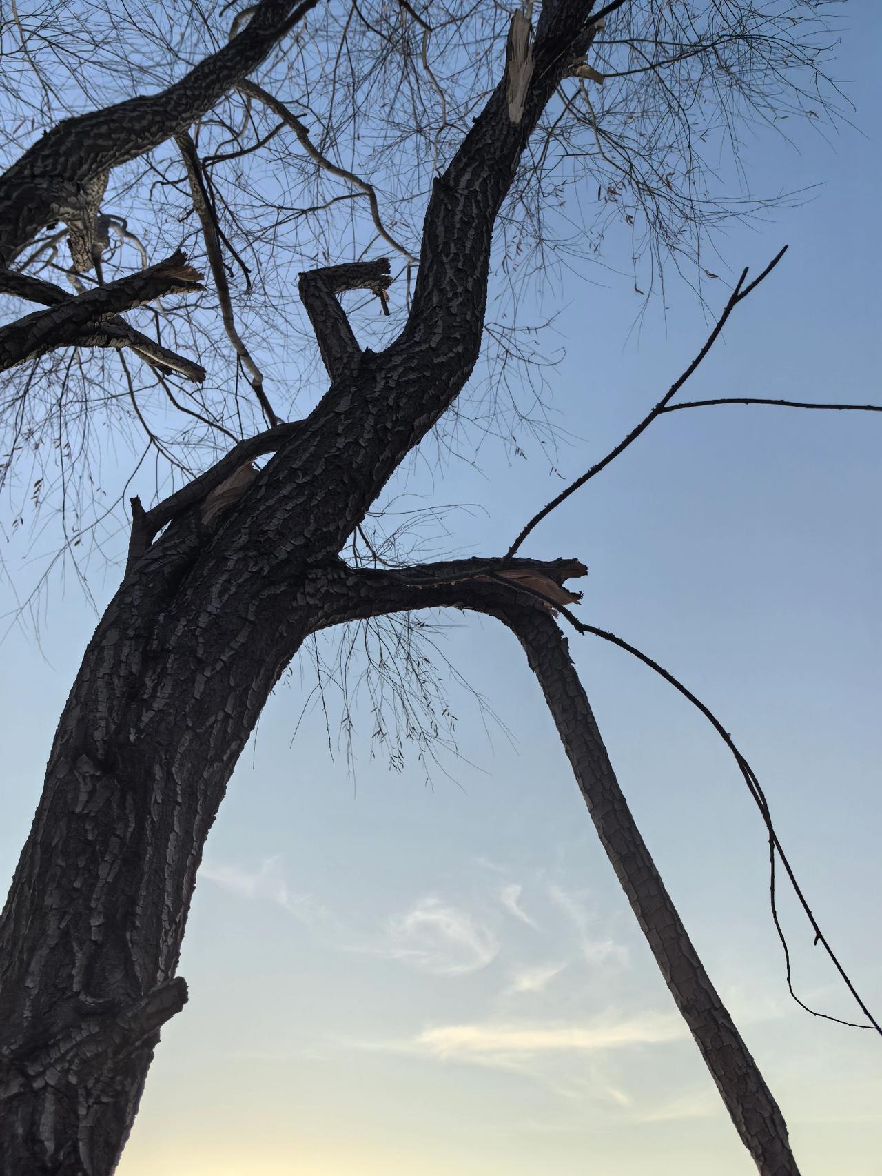 生活属于每一个人，不要用别人的标准来衡量自己。做内心强大的自己，不攀比、不计较，