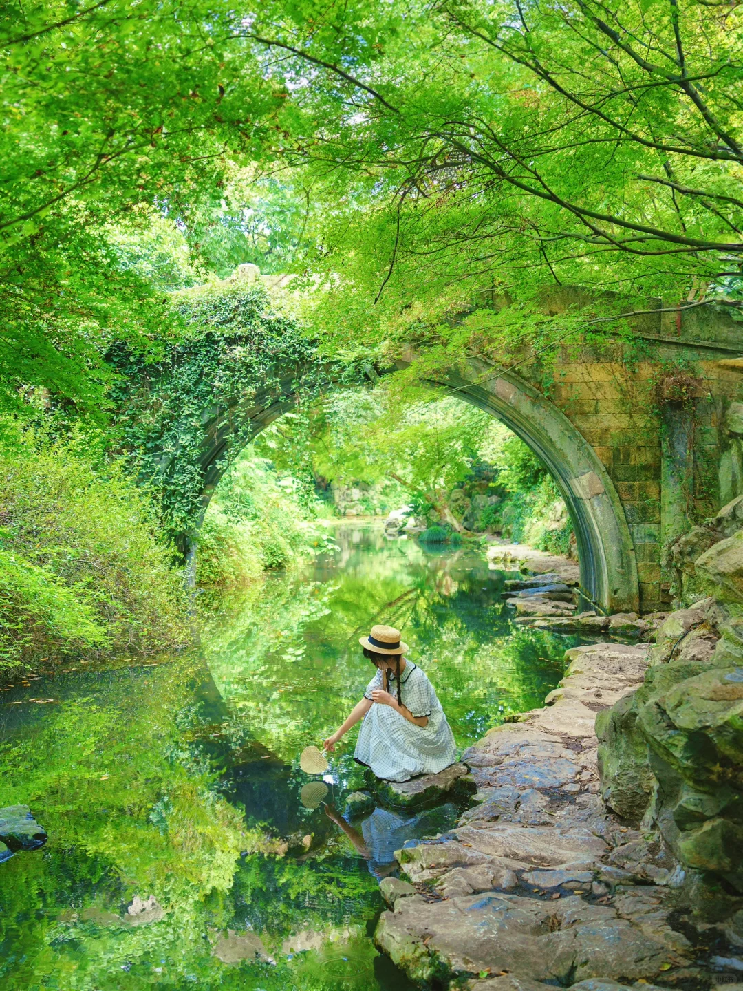 又是一年春🌿真的很爱西湖这个绿野仙踪~